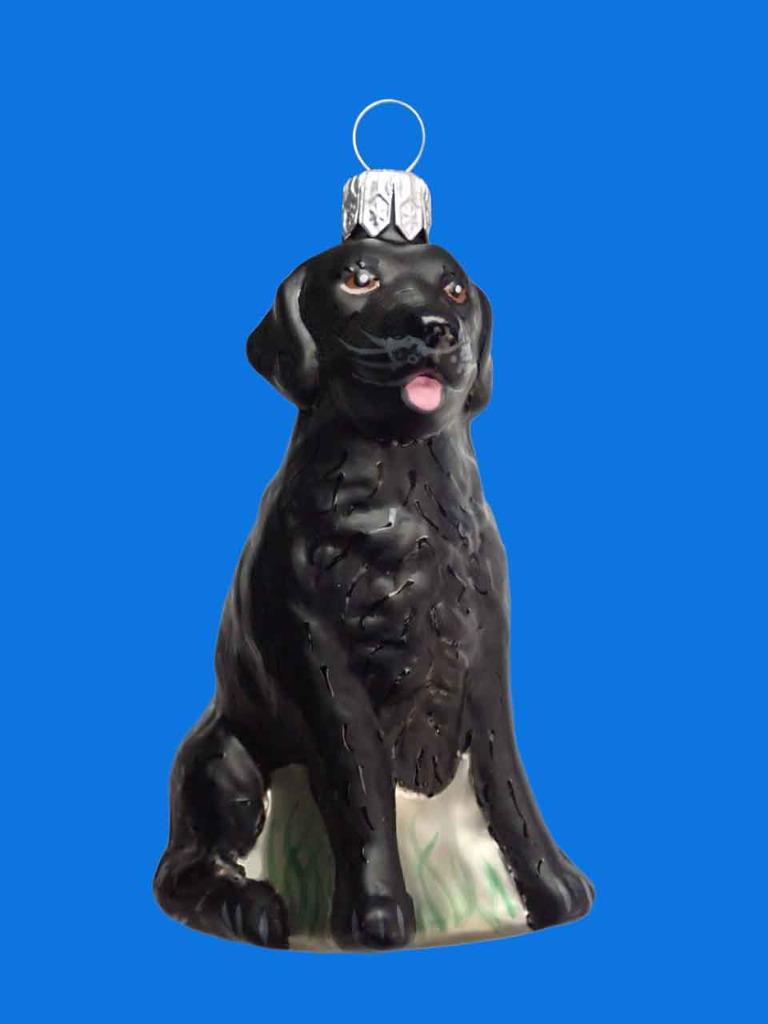 European black lab sales