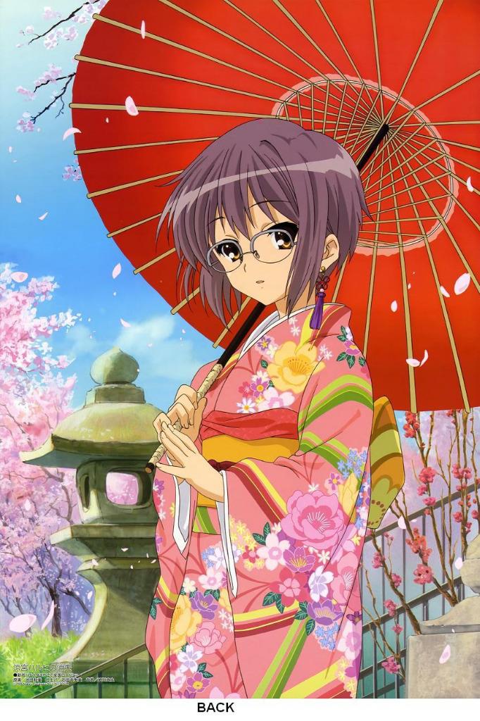 Ikki Tousen XX The Disappearance of Haruhi Suzumiya Poster FS with