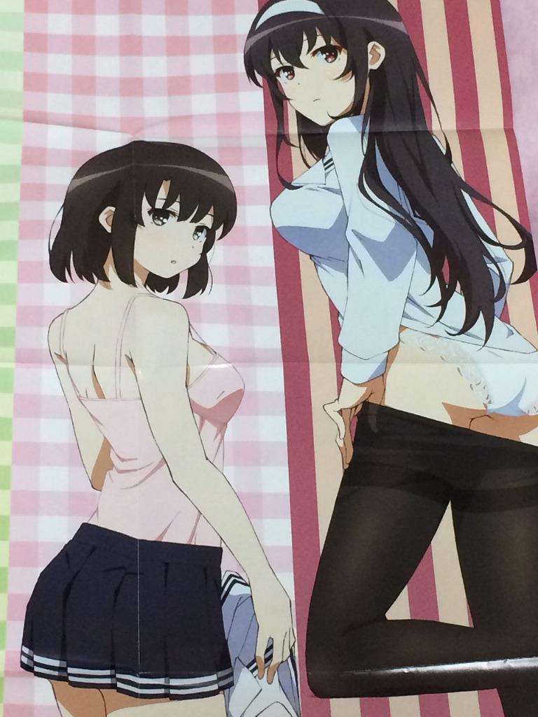 How To Raise A Boring Girlfriend Saekano How to Raise a Boring Girlfriend Is the Order a Rabbit? BIG Poster P2 FS | eBay
