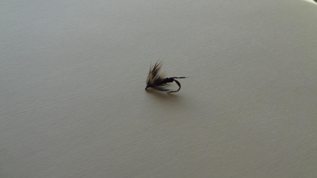 Picture 5 of 8