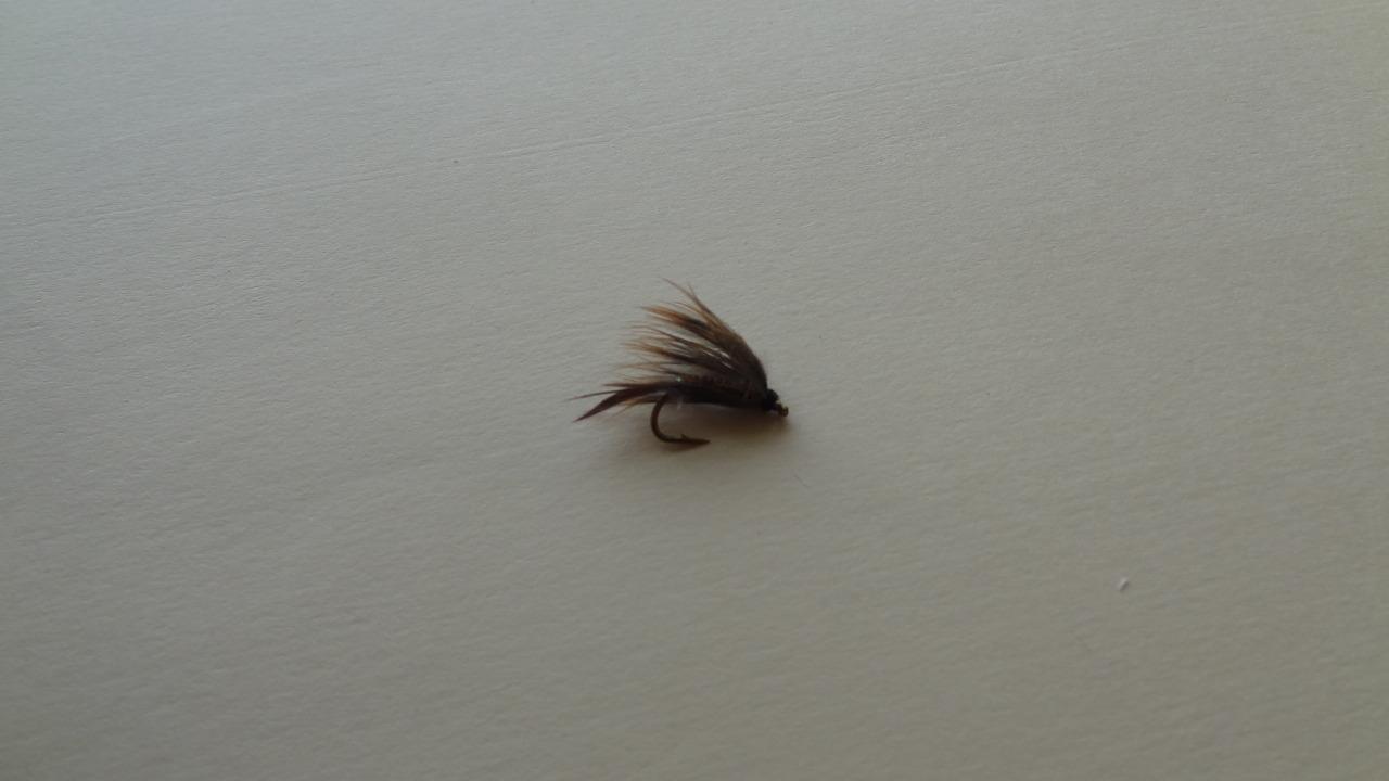 Picture 6 of 8