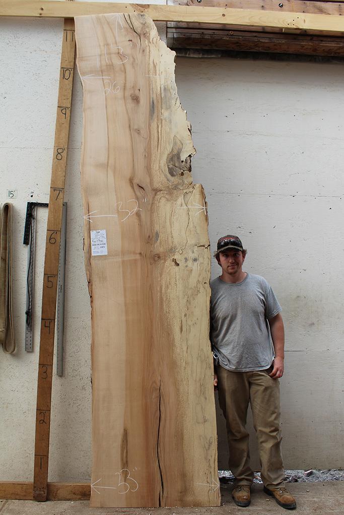 Live Edge Natural Raw Wood Slab Unfinished Maple Counter Bar