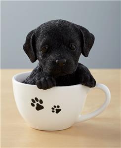teacup labrador puppies