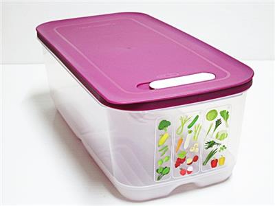 Tupperware FridgeSmart Fruit & Veggie Keeper Large 6.4 ...