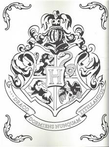 Download Harry Potter Adult Coloring Book Hogwarts Castle Forbidden Forest Voldemort New 9781338029994 Ebay