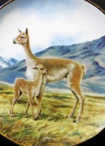 The Vicuna Wandteller Sammelteller Endangered Species