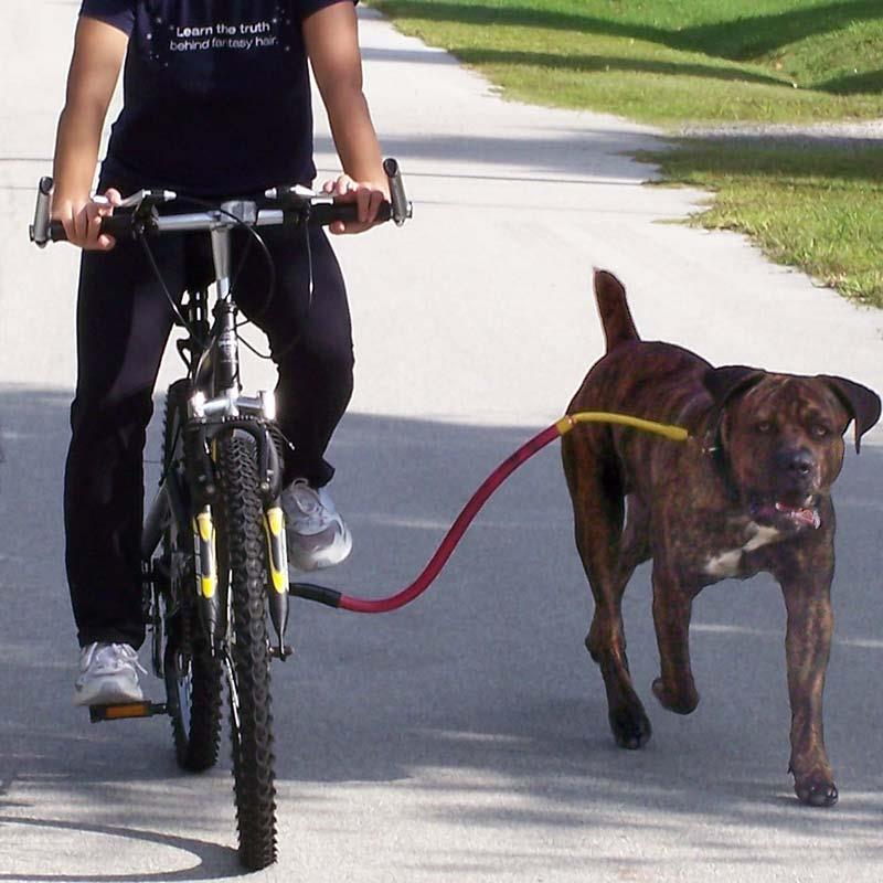 Dog leash bike attachment clearance