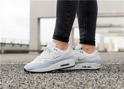air max 1 premium platinum