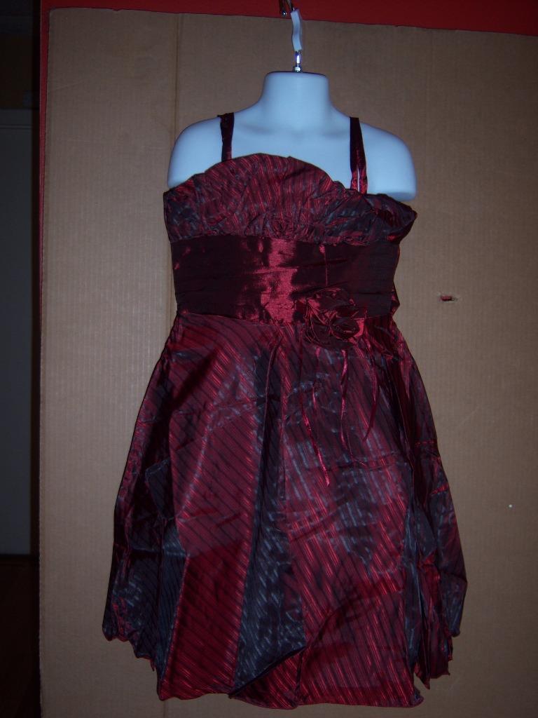 Picture 5 of 12