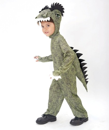 T-REX Tyrannosaurus Dinosaur Costume Child Toddler 2T PMG 6803521 | eBay