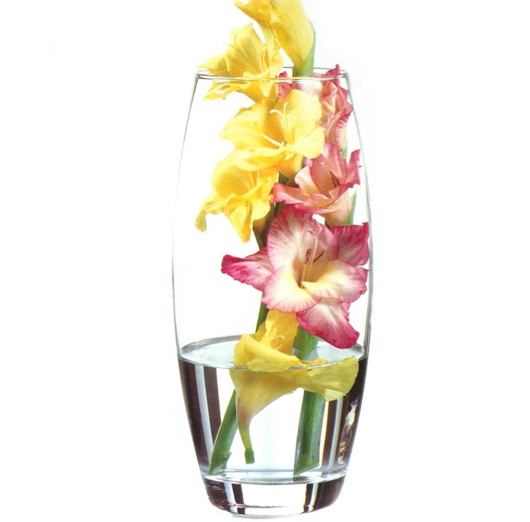 Maison 25.5 cm Verre Clair Flower Vase Home Moderne Floral Display