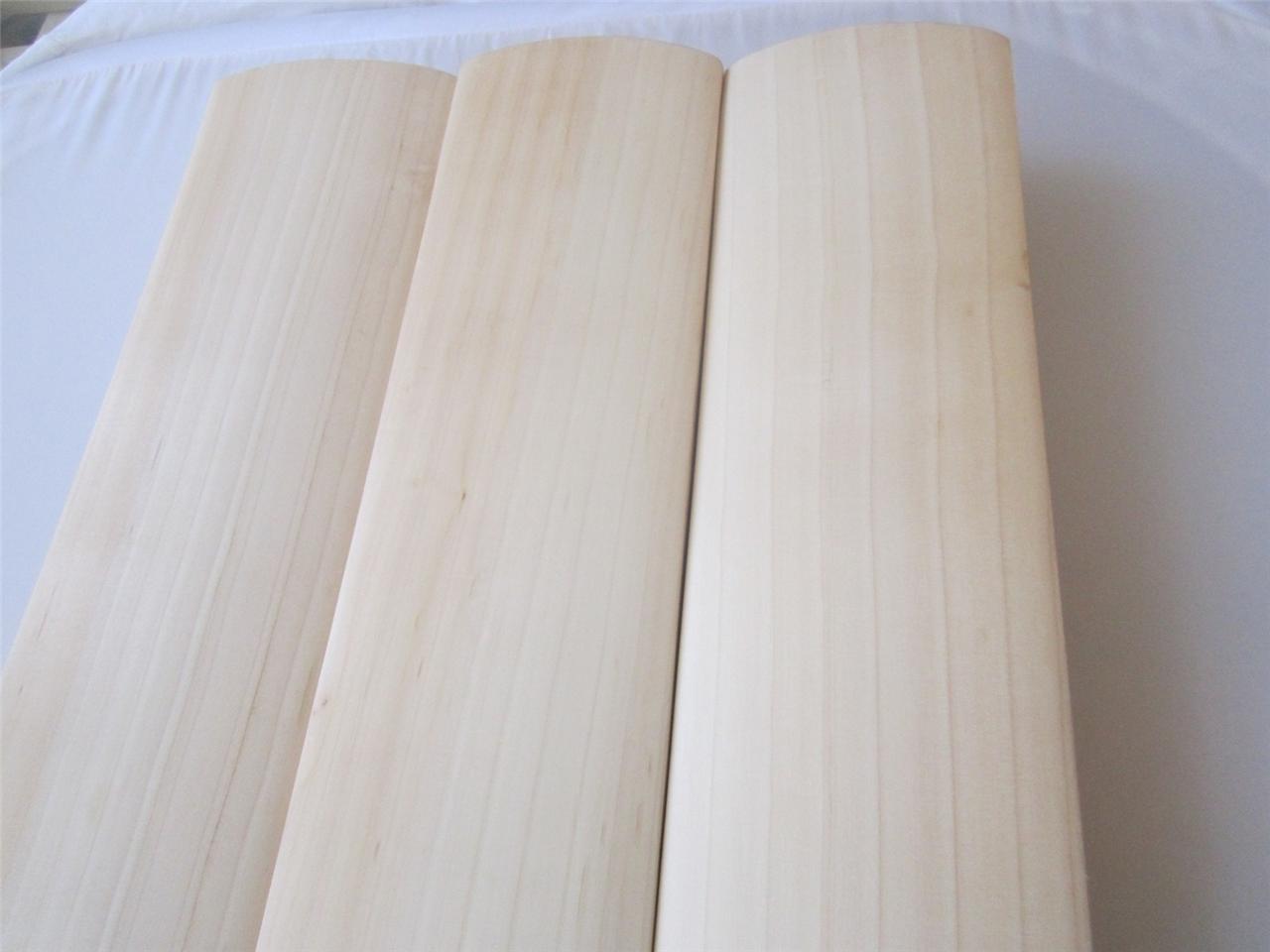 Pro Quality Type A English Willow Cricket Bat Nurtured In The Uk Pro Quality Type A English Willow Cricket Bat