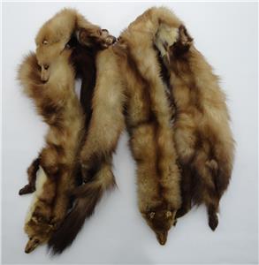 echarpe vrai fourrure