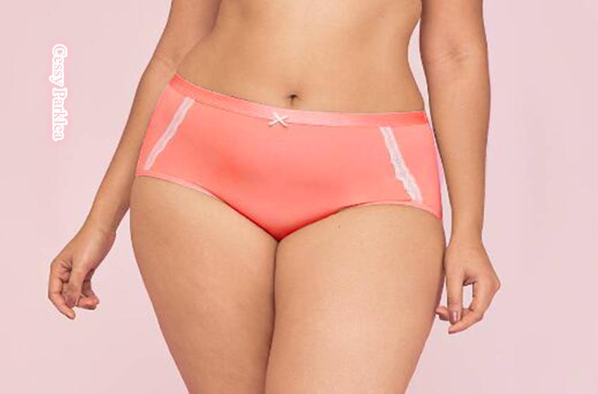 plus size full brief