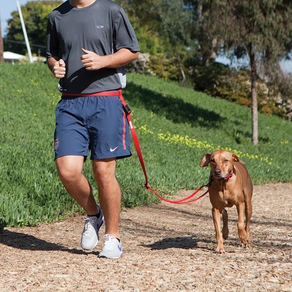 eDog Adjustable Handsfree Dog Running Jogging walking ...