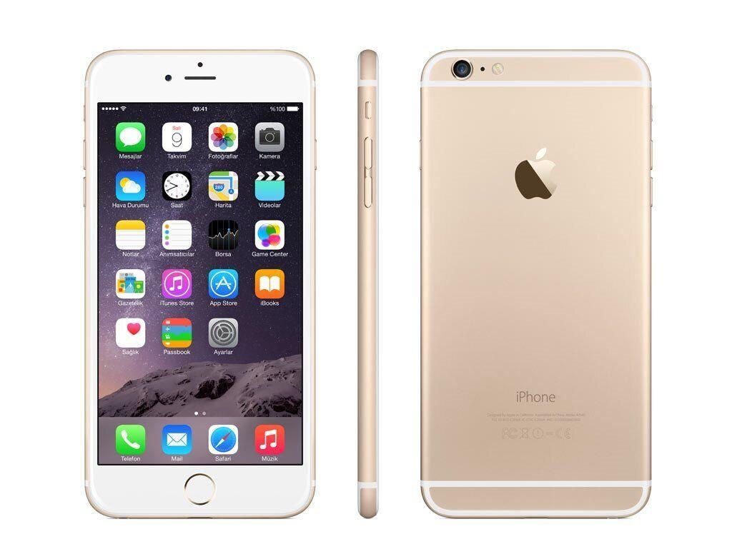 Borsa discount apple app