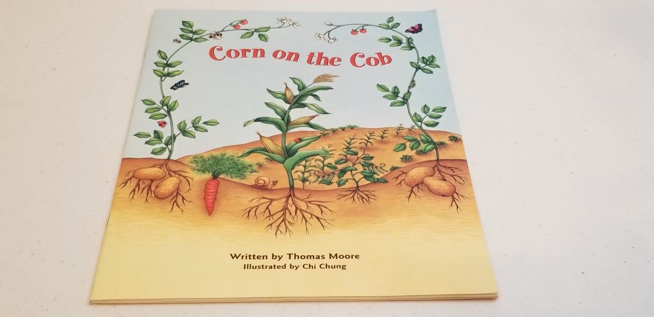 The Wright Group Reading Books Teacher Homeschool Classroom Reading YOU PICK! - Picture 19 of 19