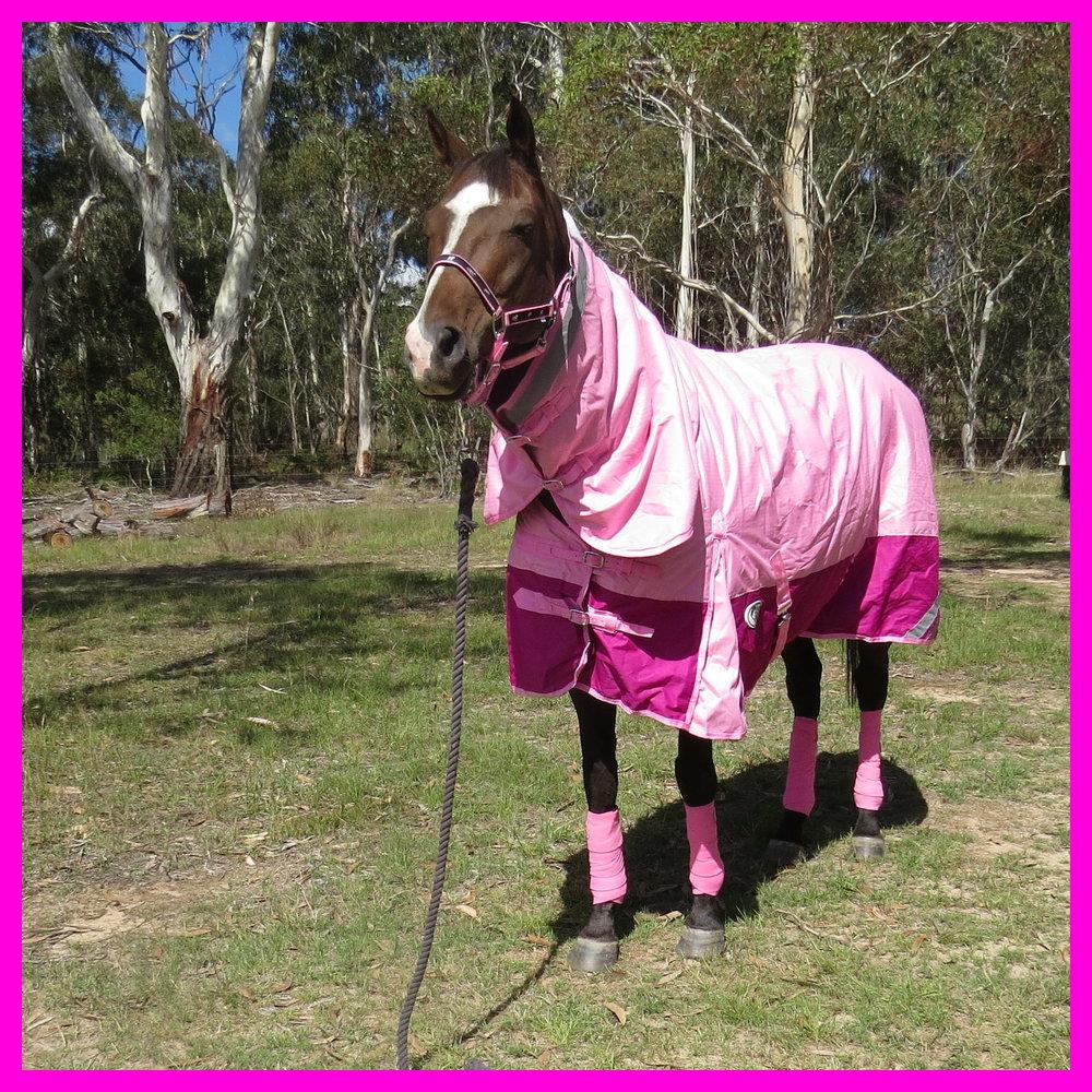 600D 300g Combo Waterproof Horse Rug Pink / Rasberrry
