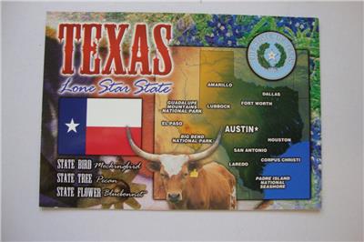 Houston Texas etc Dallas --- State Map Postcard /" The Lone Star State /"