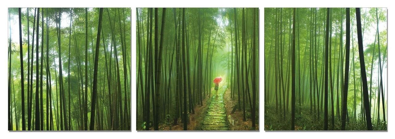 Bamboo Wall Art framed large modern contemporary canvas wall art print painting Bamboo Wall Art framed large modern contemporary canvas wall art print painting
