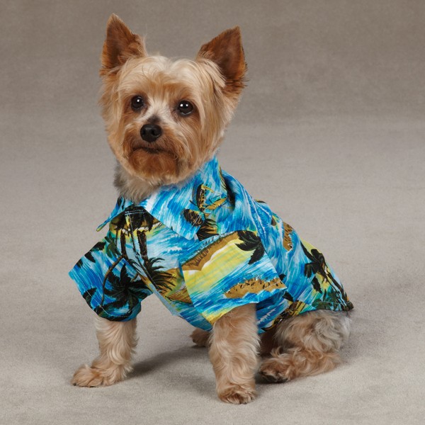 Casual Canine Aloha Camp Dog Shirt Luau Hawaiian Print | eBay