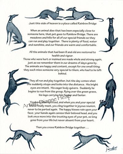 Rainbow Bridge Poem Greyhound Whippet Lurcher 7032 Dianne Heap