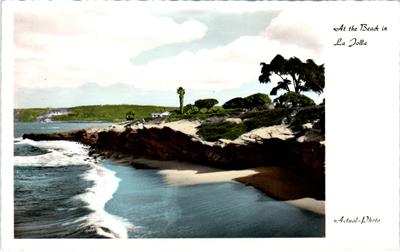Monterey Cypress Pacific Coast California Color Tinted RPPC postcard