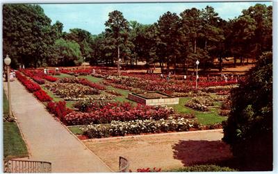 Tyler Texas Tx Municipal Rose Garden Rose Day In Spring 1969