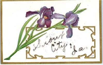 Greetings From Sioux City Ia Iowa With Flowers Glitter C1910s Postcard Ebay