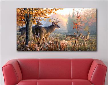 Whitetail Deer CANVAS PRINT Wall Decor Art Giclee Nature Animals 4 Sizes