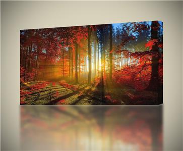 Red Fantasy Forest Canvas Print Wall Art Decor Giclee 4