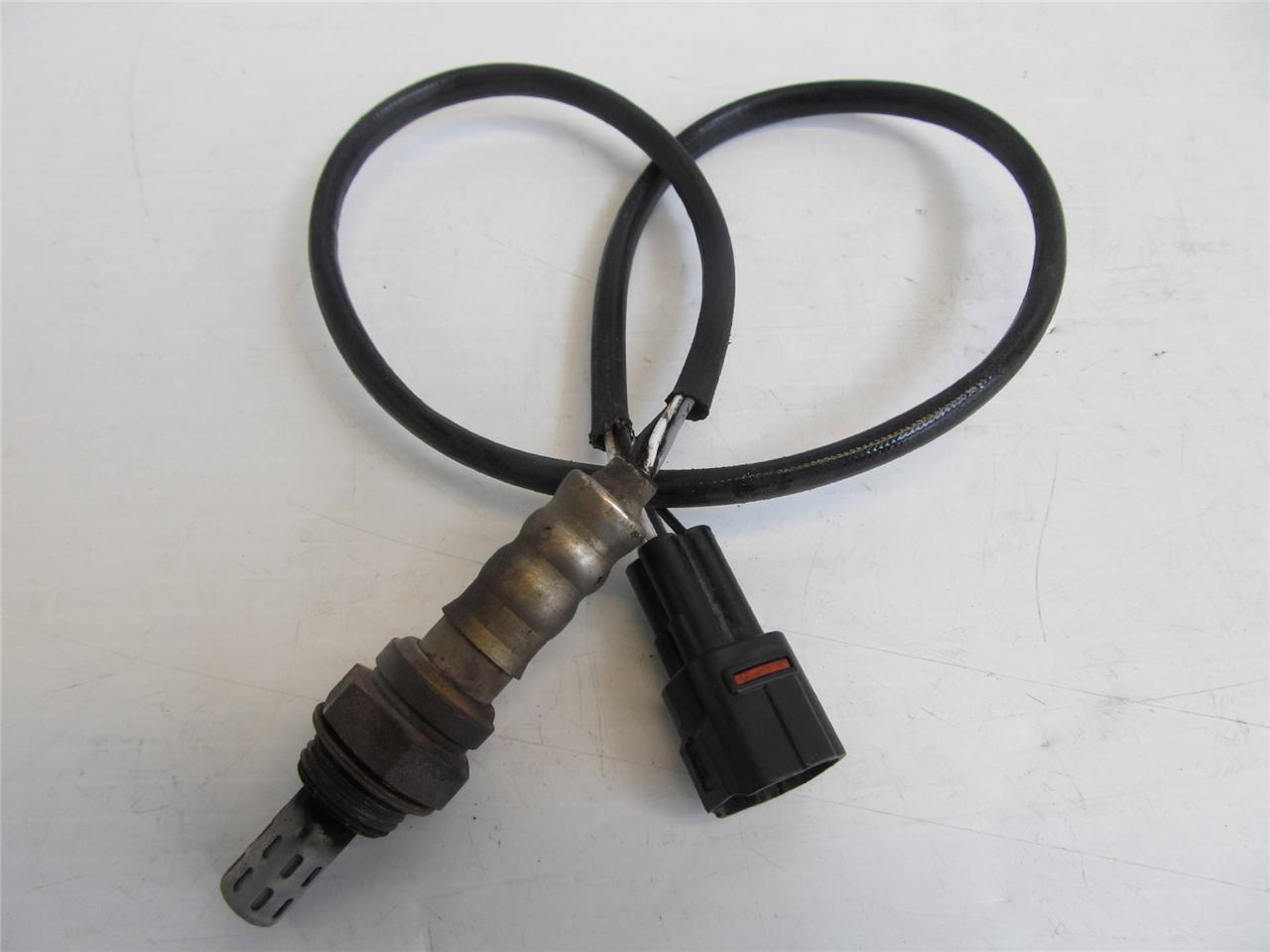 2005 triumph sprint st 1050