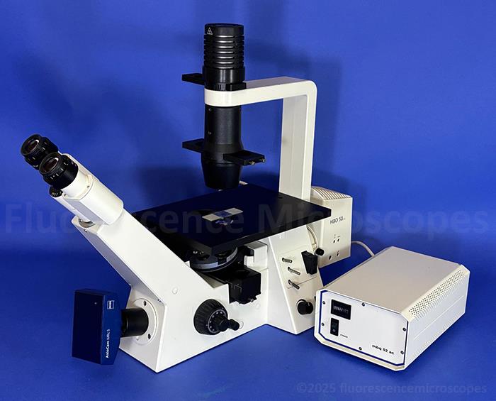 Zeiss Axiovert-40 CFL Inverted Fluorescence Phase Microscope