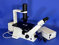 Zeiss Axiovert-40 CFL Inverted Fluorescence Phase Microscope