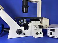 Zeiss Axiovert-40 CFL Inverted Fluorescence Phase Microscope