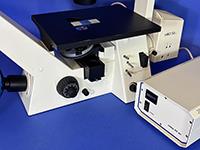 Zeiss Axiovert-40 CFL Inverted Fluorescence Phase Microscope