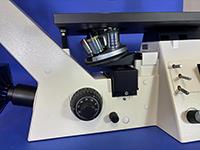 Zeiss Axiovert-40 CFL Inverted Fluorescence Phase Microscope