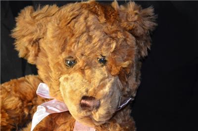 david jones teddy bear