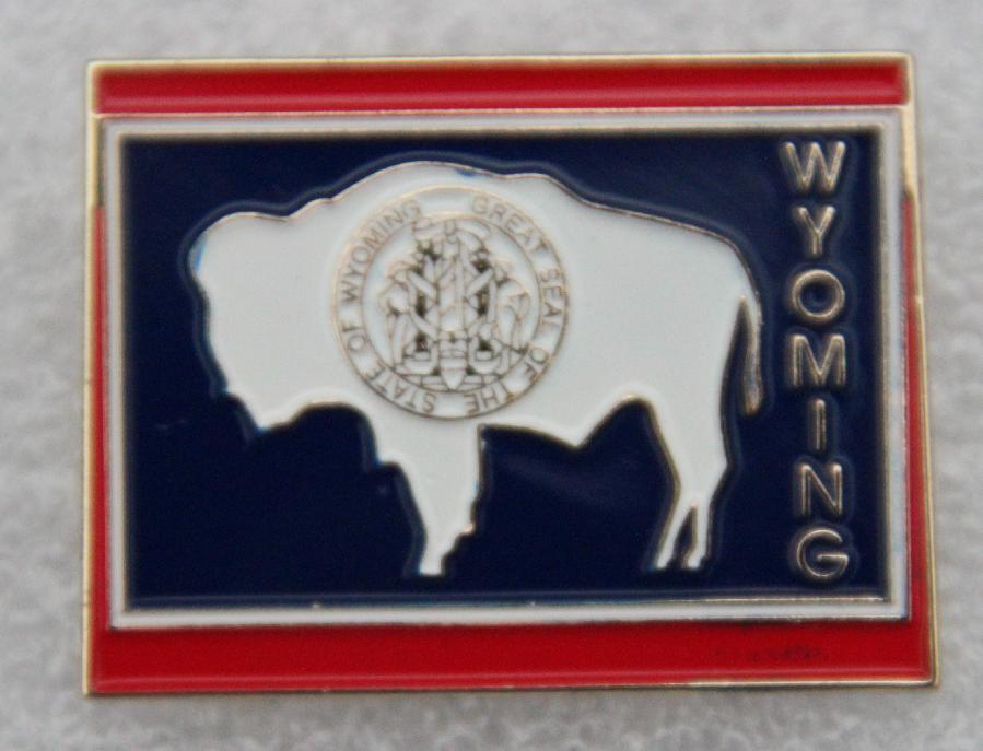 Alfileres, solapa, sombrero, corbata en forma de estado, etc: NUEVO MÉXICO A WYOMING - Imagen 24 de 24