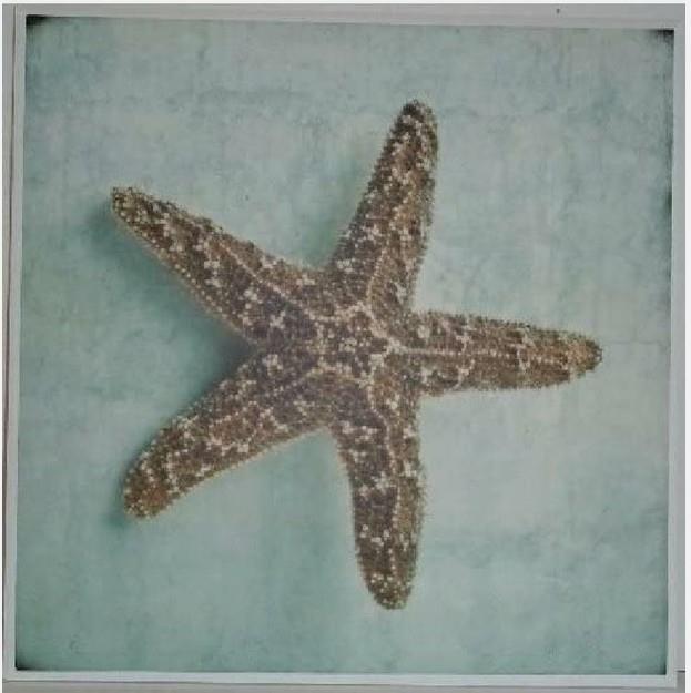 Beach Motiff Items For Your Home/Vacation Home
