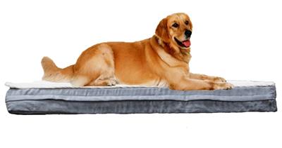 Orthopedic Memory Foam Dog Bed w// removable cover /& waterproof blanket 2-in-1
