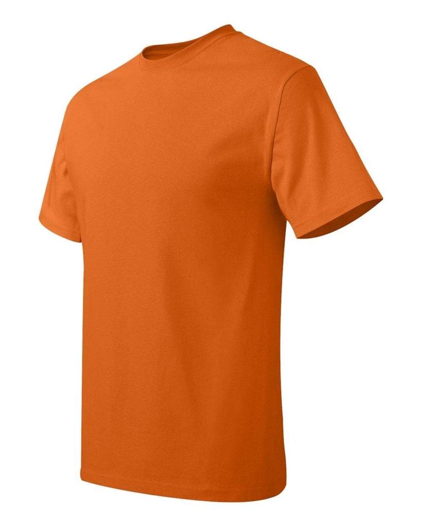 Hanes Mens Cool Dri-Fit Short Sleeve Performance T Shirt 50+ UPF Size S ...
