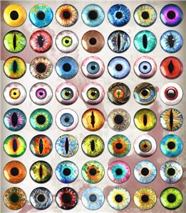 human doll eyes