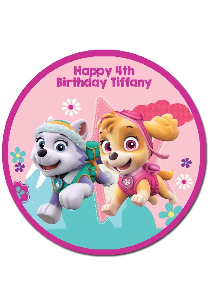 Paw Patrol Skye Everest Round Edible Icing Cake Topper - PRE-CUT | eBay