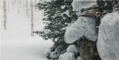Winter Hunting Camouflage Suits Multicam Alpine White Militaria Airsoft Snow New 