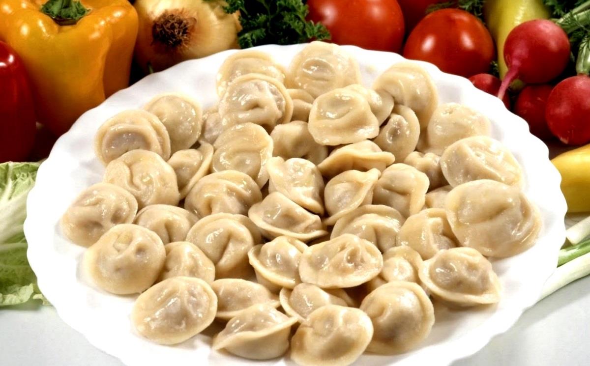 Pelmennica Mold Russian Pelmeni Pelmennitsa Dumplings Ravioli Maker USA ...