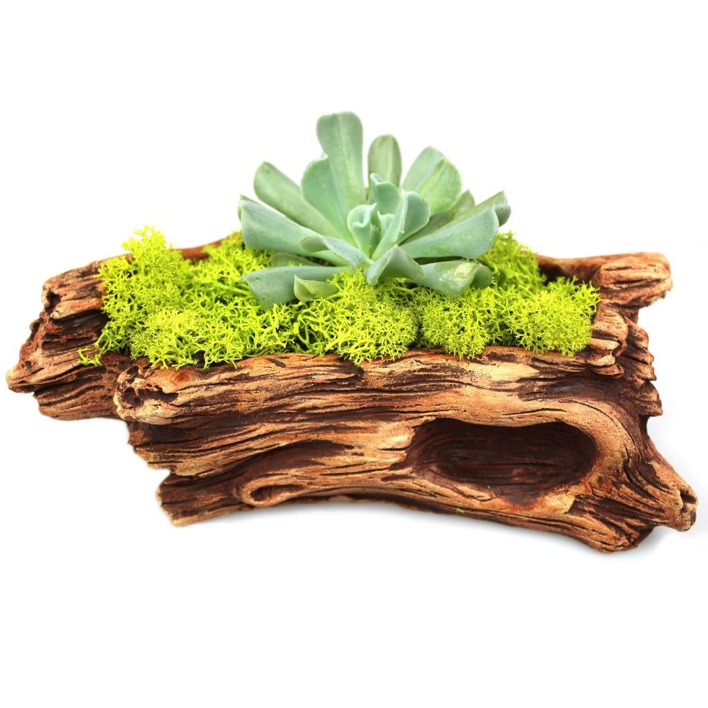 Nature Decor Weathered Wood Log Design Planter Pot For Small Indoor Nature Decor Weathered Wood Log Design Planter Pot