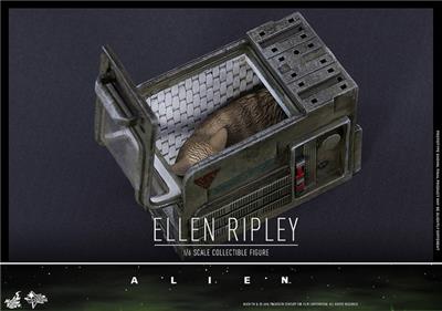 Hot Toys Mms366 Alien Ellen Ripley Action Figures 1 6 Scale Jones Cat Box Set Ebay