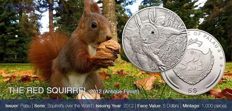 photo 2012_Red-Squirrel