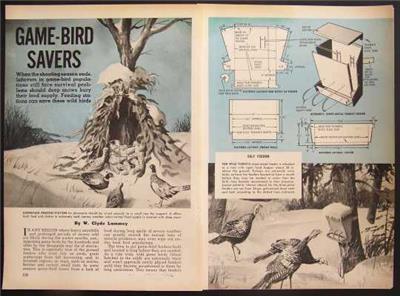 Game Bird Feeders How To Build Plans 2 Designs Turkey Quail Ebay